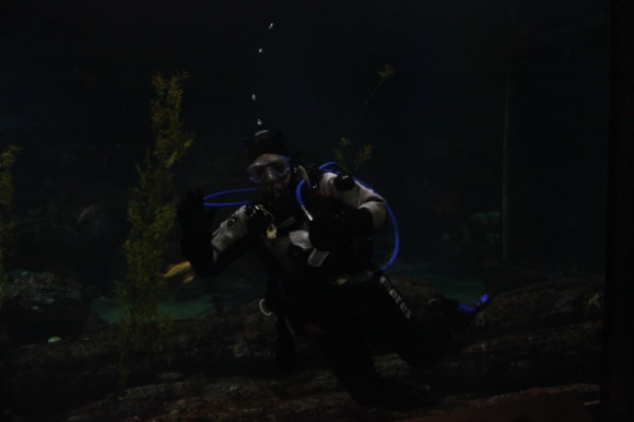 diver
