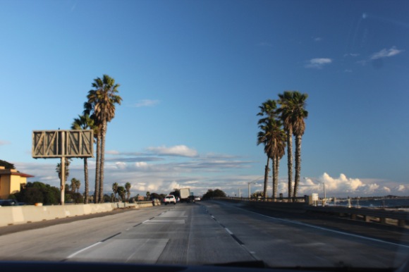 highway and palm