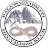 Pal�c Kupa 2012, nemzetk�zi m�falm�sz� verseny